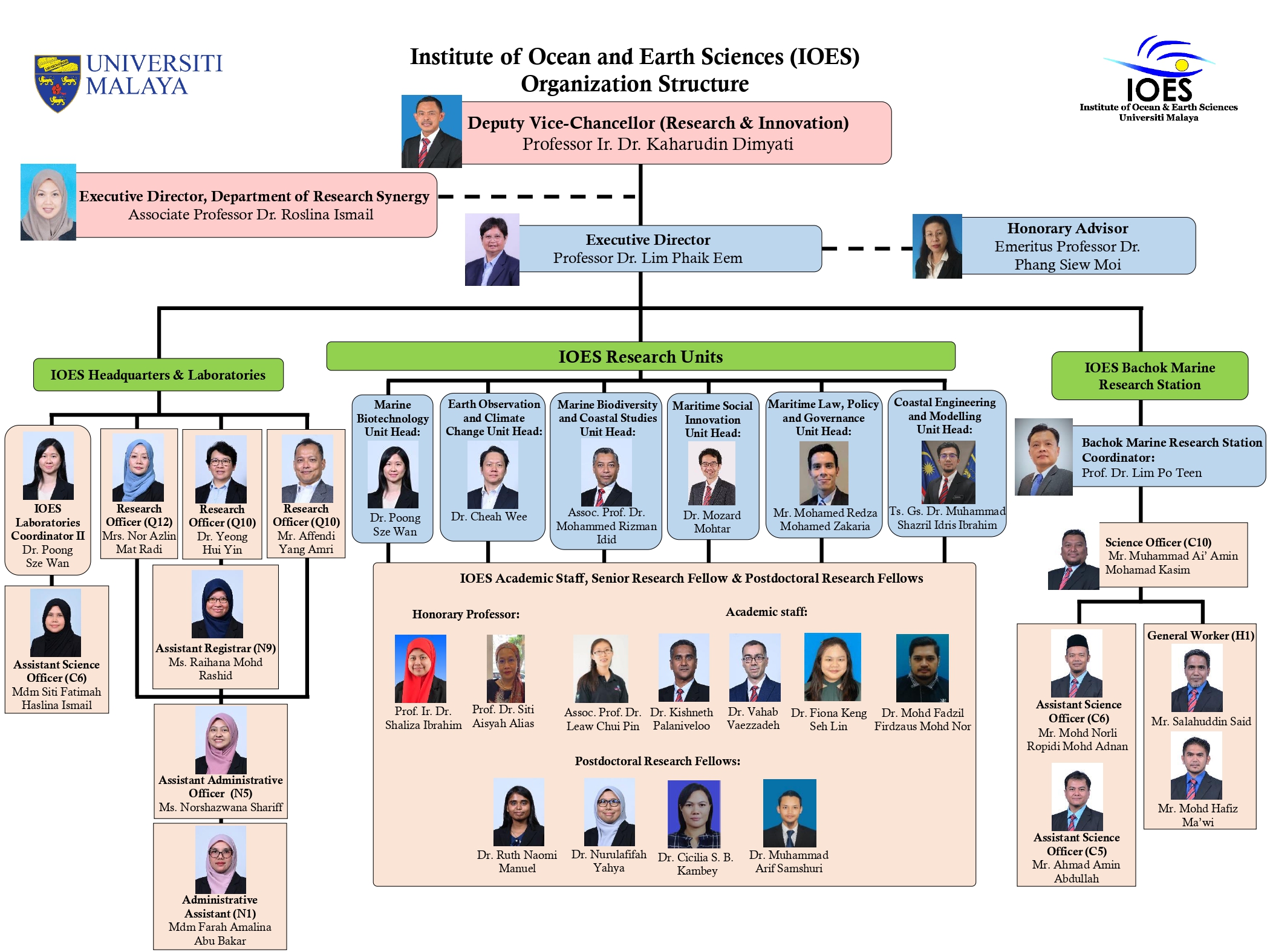 IOES Organization Chart 2026